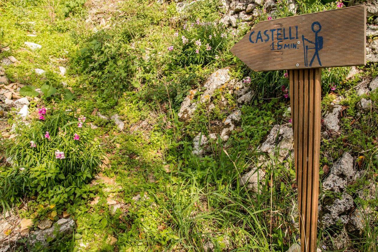 Gasthaus Castelli Olive Press Acharavi  Exterior foto